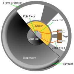 Cross-section of speaker