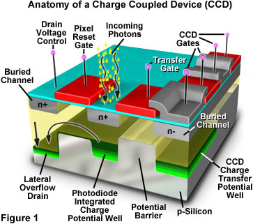 CCD Diagram CCD Diagram