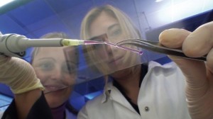 Artificial Blood Vessel Engineers flush a polymer vessel with cell medium