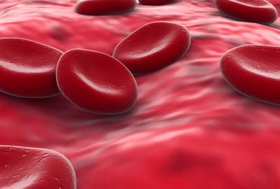 Red Blood Cells Red Blood Cells